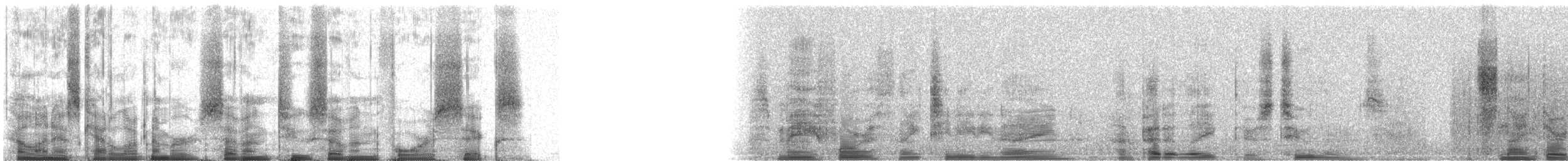 Common Loon - ML72746