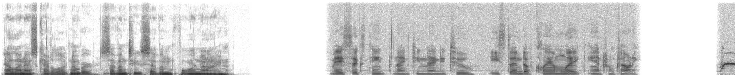 Common Loon - ML72749