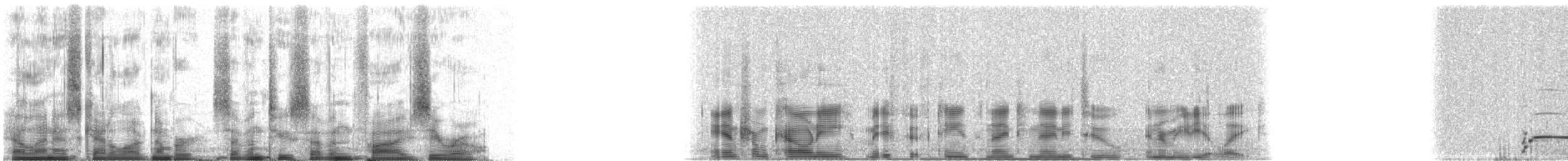 Common Loon - ML72750