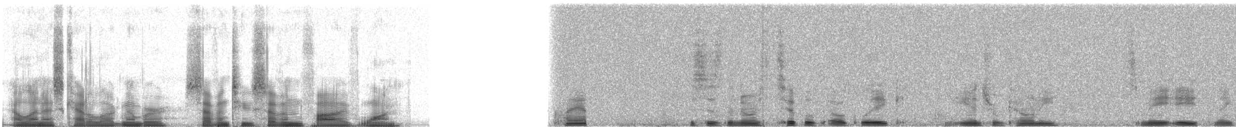 Common Loon - ML72751