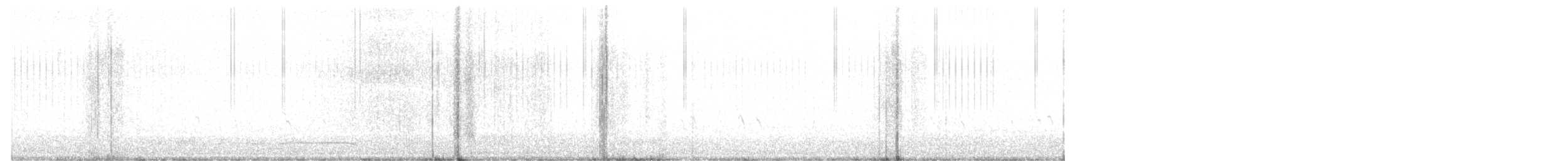 křivka bělokřídlá - ML72755361