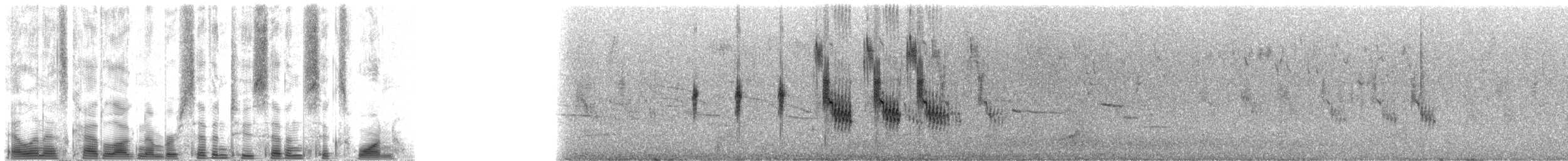 Rotschulterkardinal - ML72761