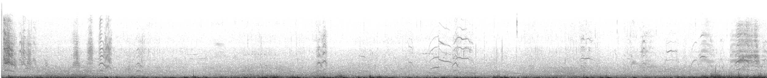 ボナパルトカモメ - ML72761661