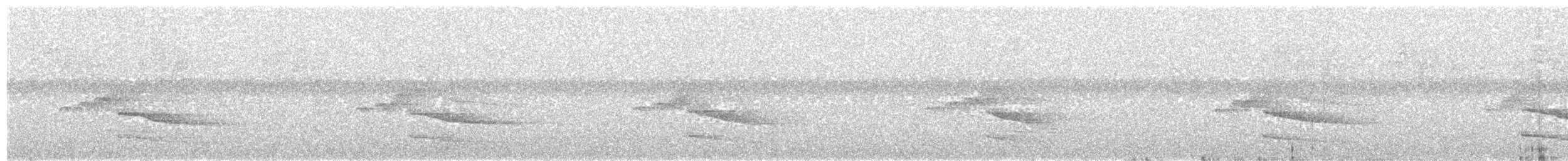 Gray Hawk - ML72762021