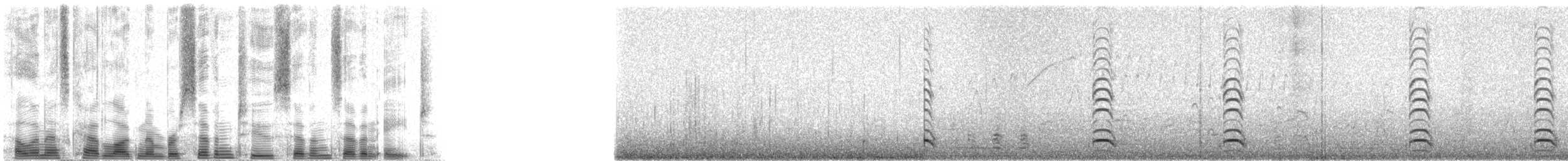 racek tříprstý (ssp. pollicaris) - ML72778