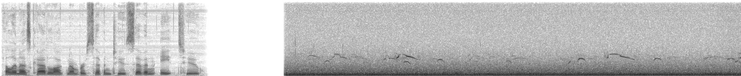 alkoun mramorovaný - ML72782