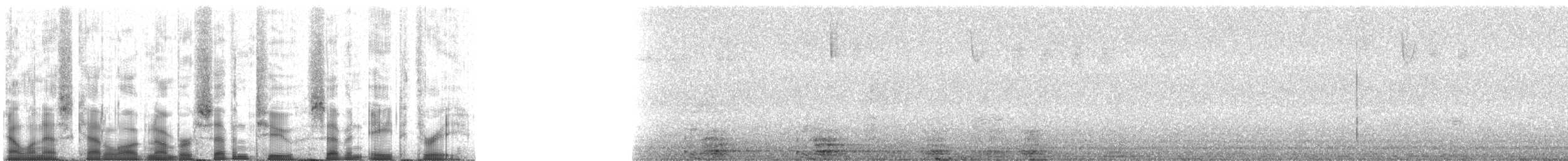 美洲黑熊 - ML72783