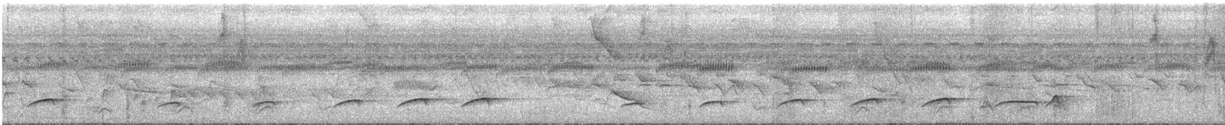 Ochraceous Attila - ML72811211