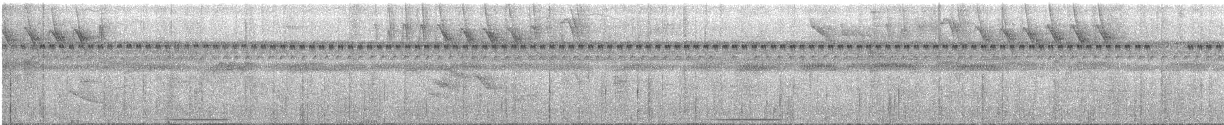 ウスイロシャコバト - ML72811231