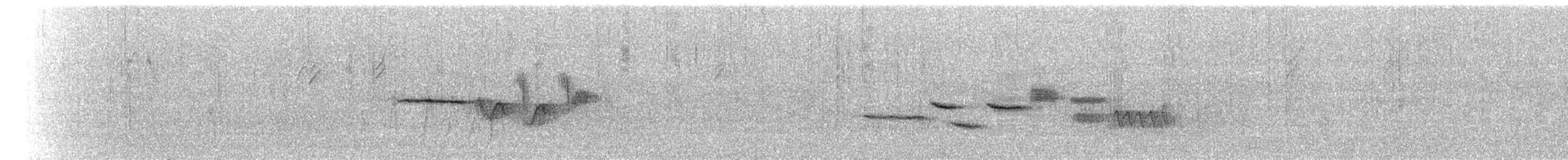 Bruant à couronne blanche - ML72826821