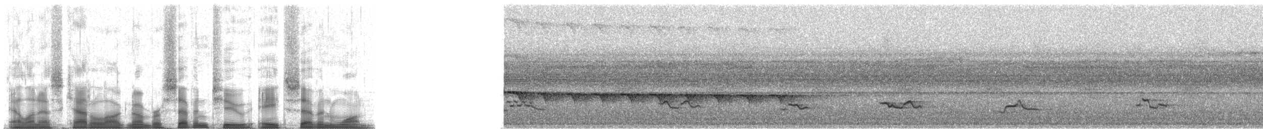 Покривник брунатний (підвид zeledoni) - ML72871