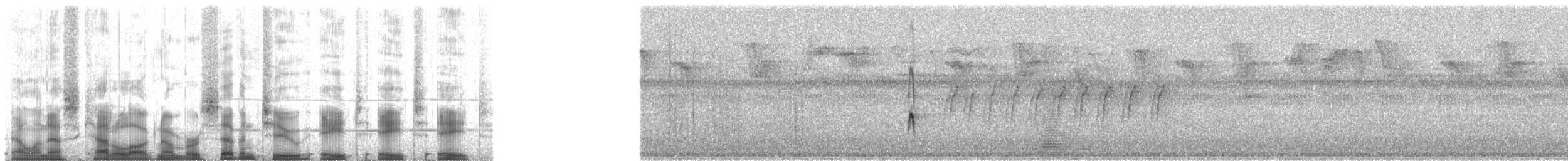 Moucherolle huppé (aurantiiventris) - ML72888