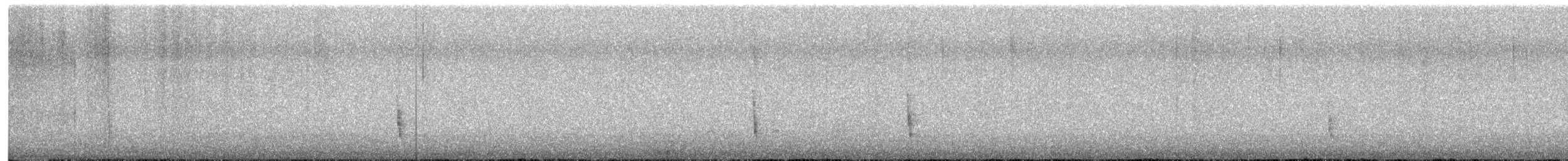 eremittskogtrost (guttatus gr.) - ML72892201