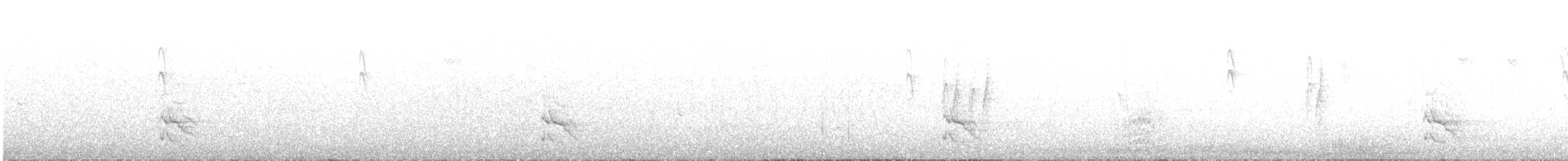 Northern Flicker - ML72947691