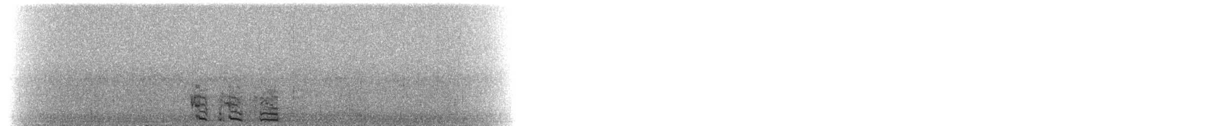 Sarcelle d'hiver - ML72951811