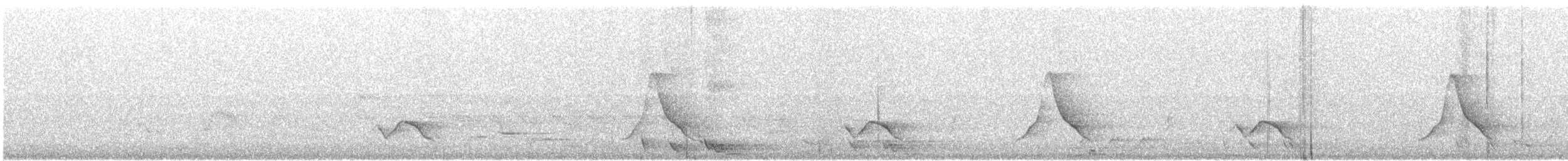 Black-winged Monarch - ML72991391