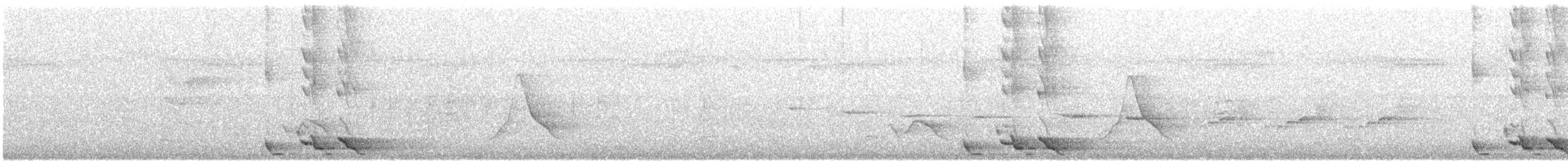 Black-winged Monarch - ML72991531