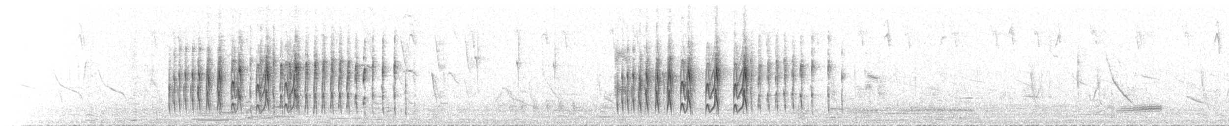 Strichelbrust-Dickichtschlüpfer - ML73023461