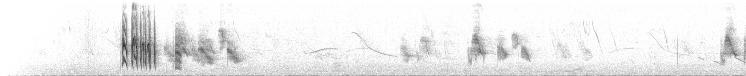 Tumbesian Tyrannulet - ML73026531