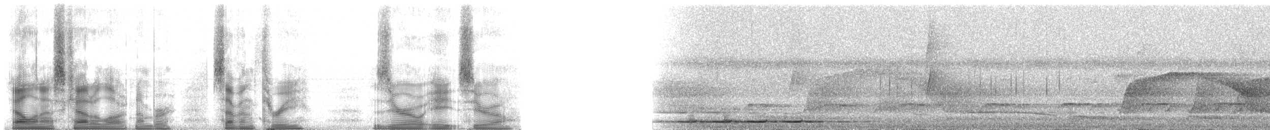 brunryggmaurpitta - ML73080