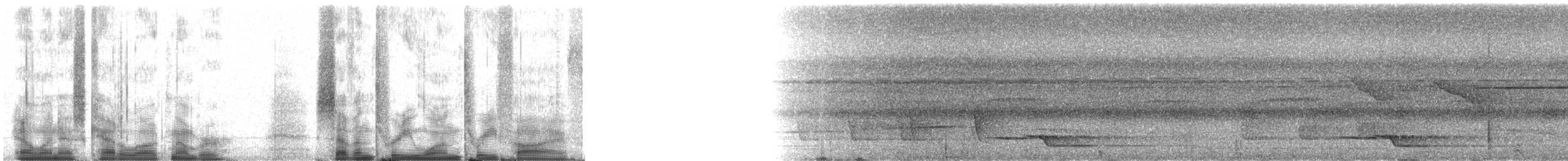 オオヒメコノハドリ - ML73135