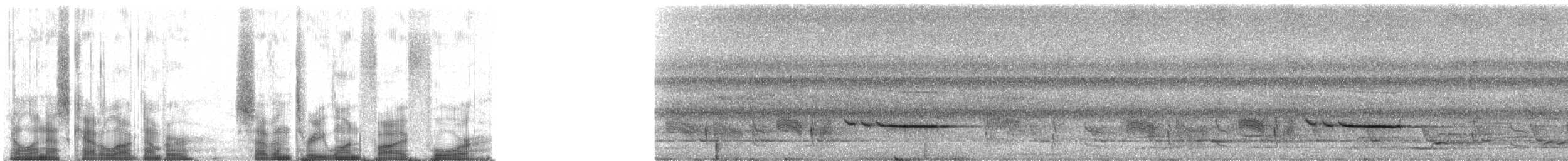 Striped Wren-Babbler - ML73154