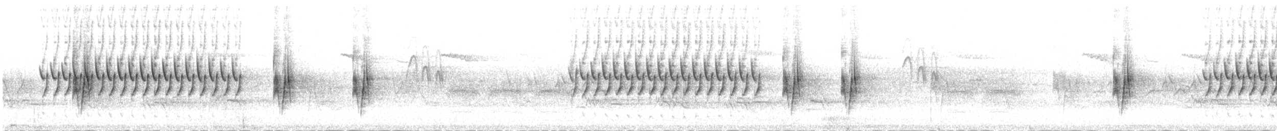 Schwirrammer - ML73213141