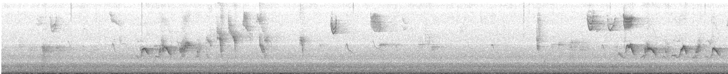 Fox Sparrow (Sooty) - ML73218041