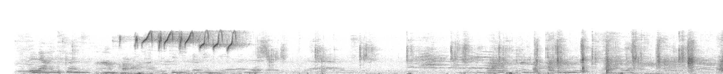 Атласная нектарница - ML73383301