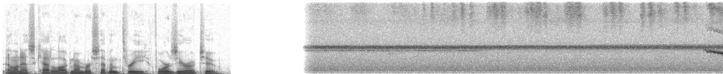 Кокоа плямистий [група aequatorialis] - ML73402