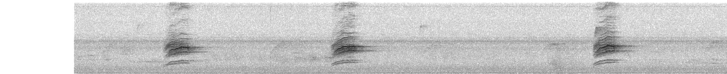 Дрізд-короткодзьоб плямистоволий - ML73414411