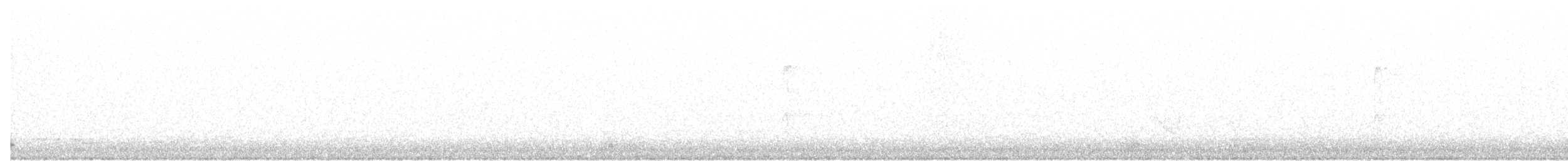 hvitbrynsvartspett - ML73430841