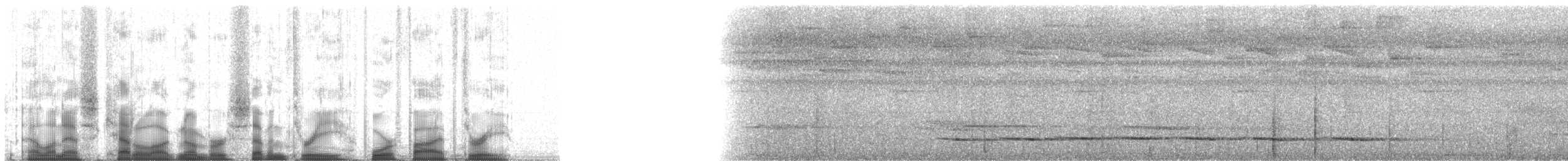 Gözlüklü Yerçavuşu (lizanoi) - ML73453