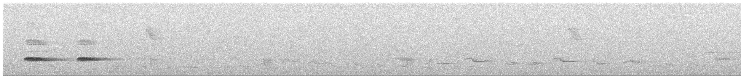 Каштановый скрытохвост - ML73552281