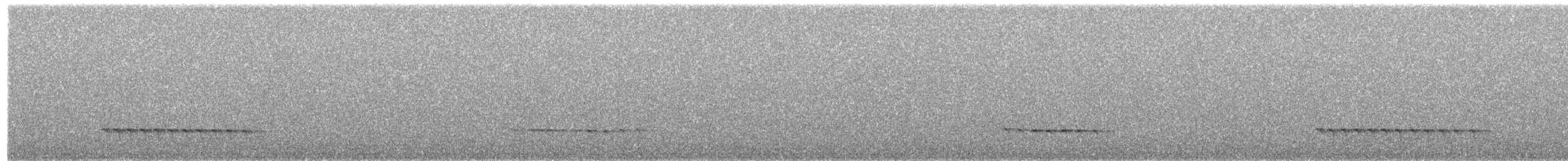 Крапчатый торорой - ML73552571