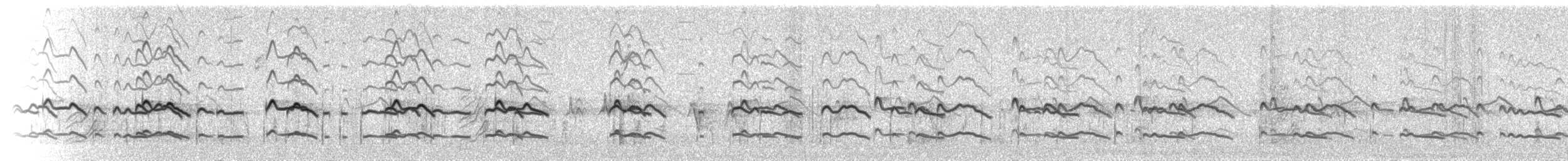 Pluvier kildir - ML73594751