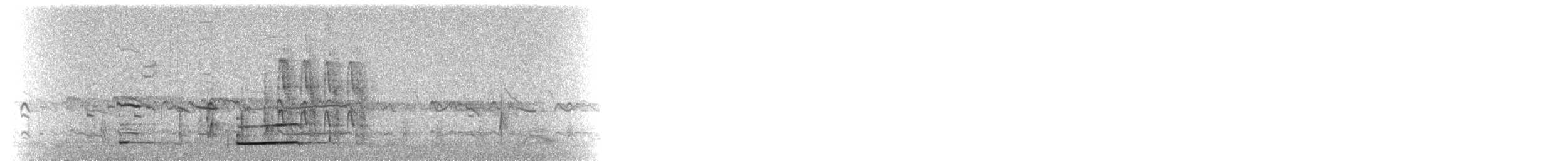 Marouette de Caroline - ML73599211