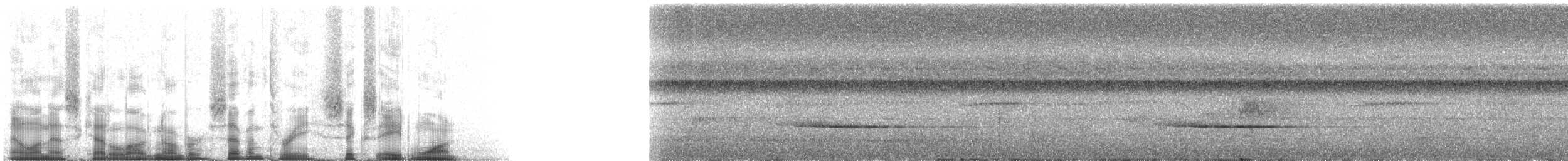 Striped Wren-Babbler - ML73681
