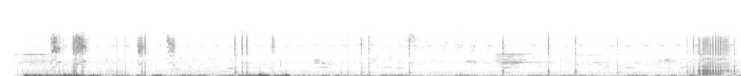 Long-tailed Shrike - ML73682161
