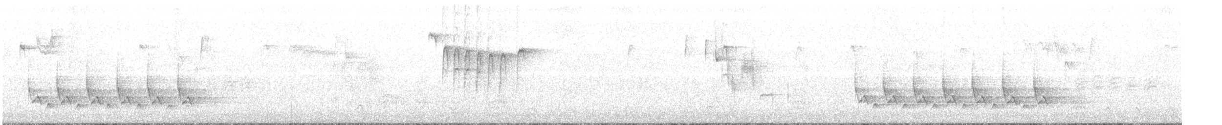 Поплітник каролінський - ML73760101