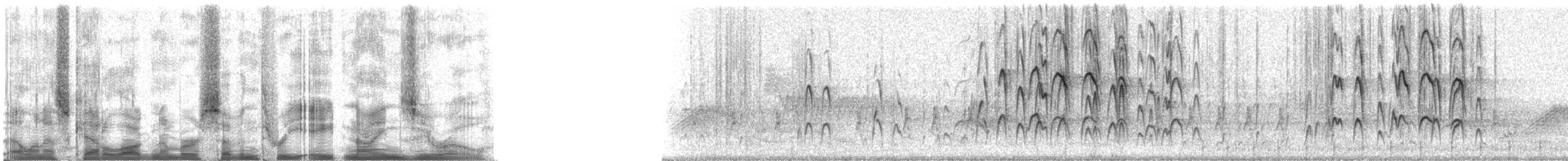 Red-cockaded Woodpecker - ML73890