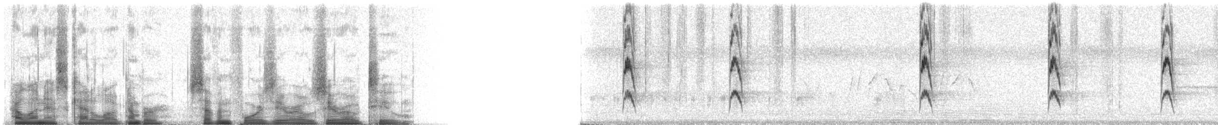 Red-cockaded Woodpecker - ML74002