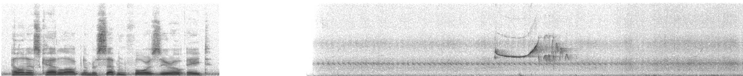 torntyrann - ML7408