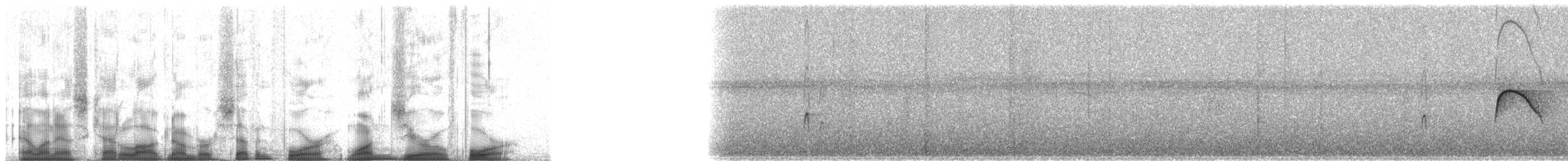 Kuzey Sorguçlu Sinekkapan (aurantiiventris) - ML74104
