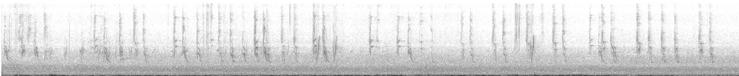 Mokokerra (4 mota) - ML74119001