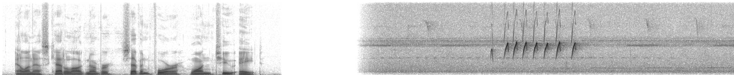 Kuzey Sorguçlu Sinekkapan (aurantiiventris) - ML74128