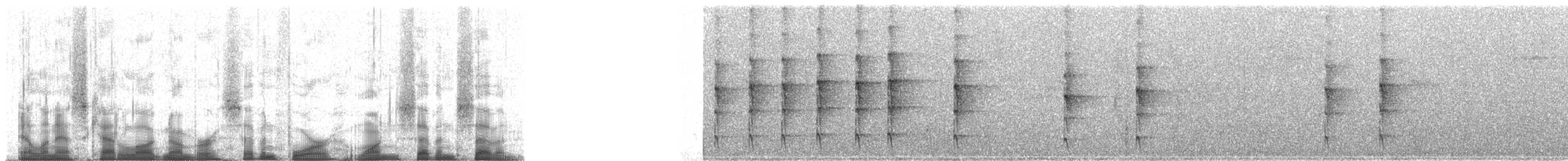 Anabate des ravins - ML74177