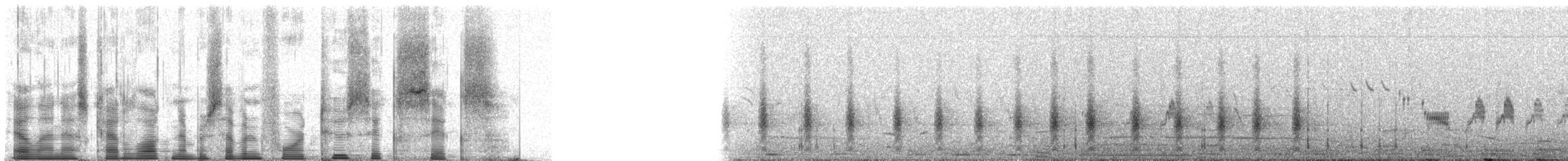 Isabellwürger (arenarius/tsaidamensis) - ML74266