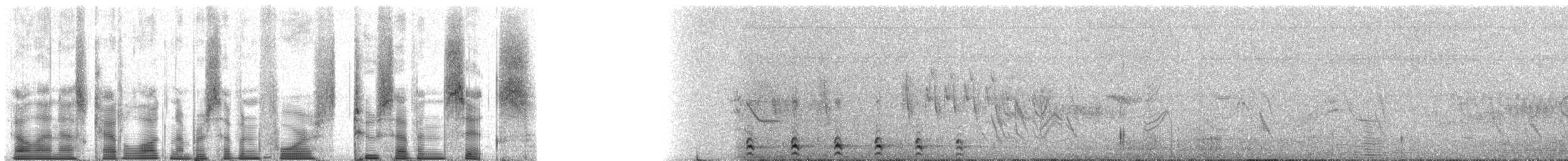 Perdrix de Przewalski - ML74276