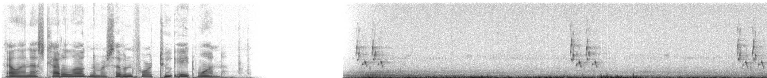 Loggerhead Shrike - ML74281